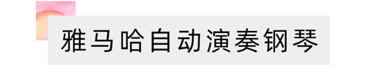 活动报道 | “科技助力，跨越时空”，小鹿纯子携手刘明康共享中日音乐盛宴